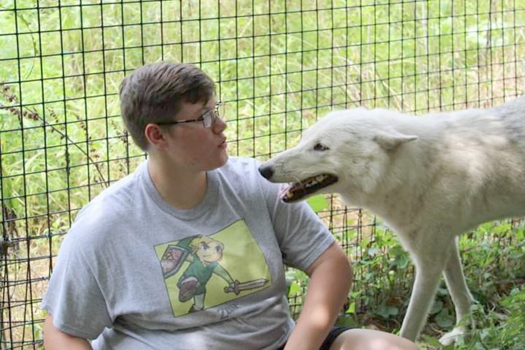 Working with wolves News, Sports, Jobs Messenger News